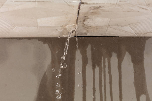 Professional Water Extraction technician working in Romulus, MI